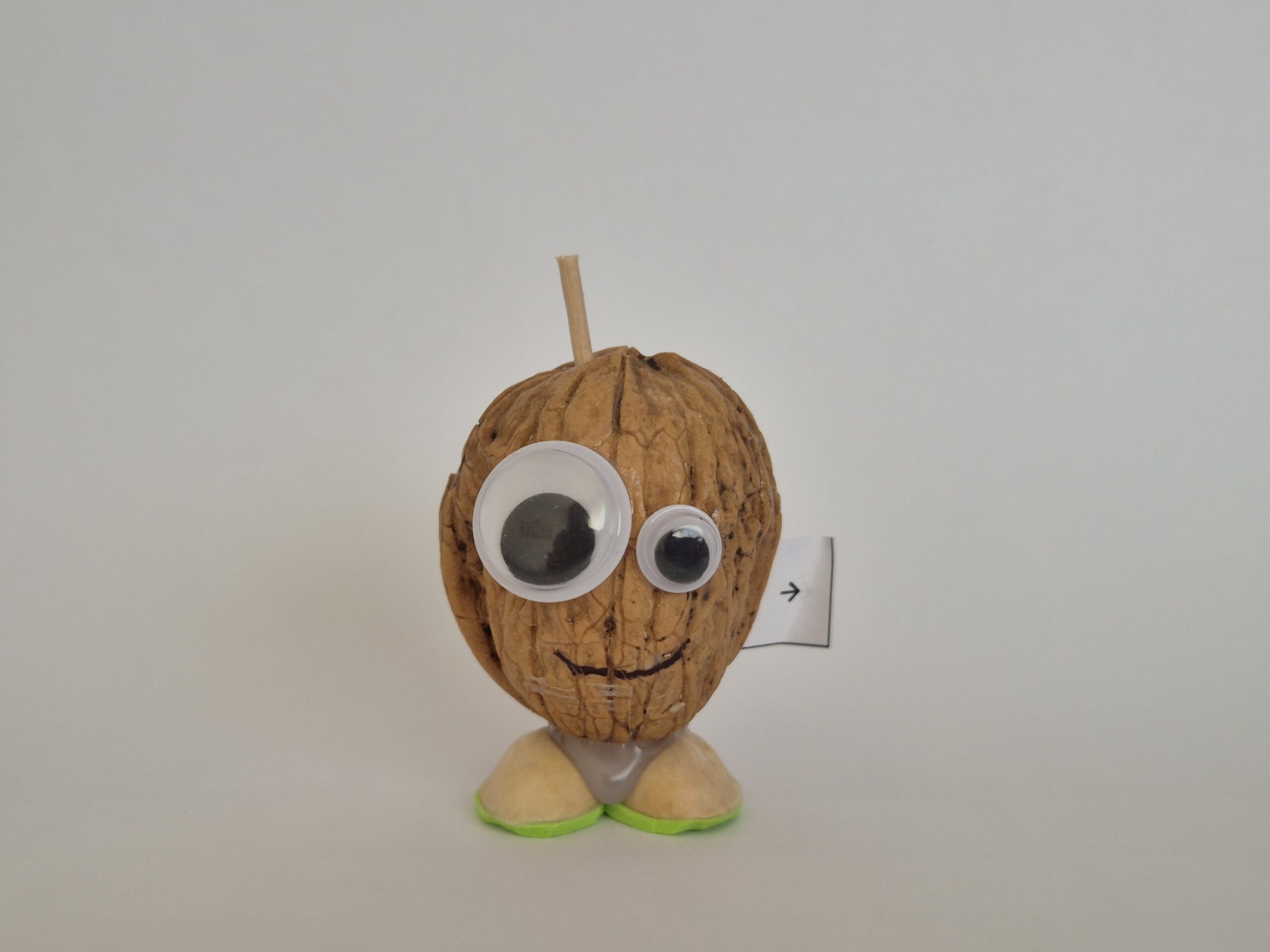 Complimentary Walnut - Image 2